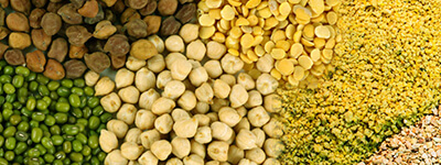 Agro Produce